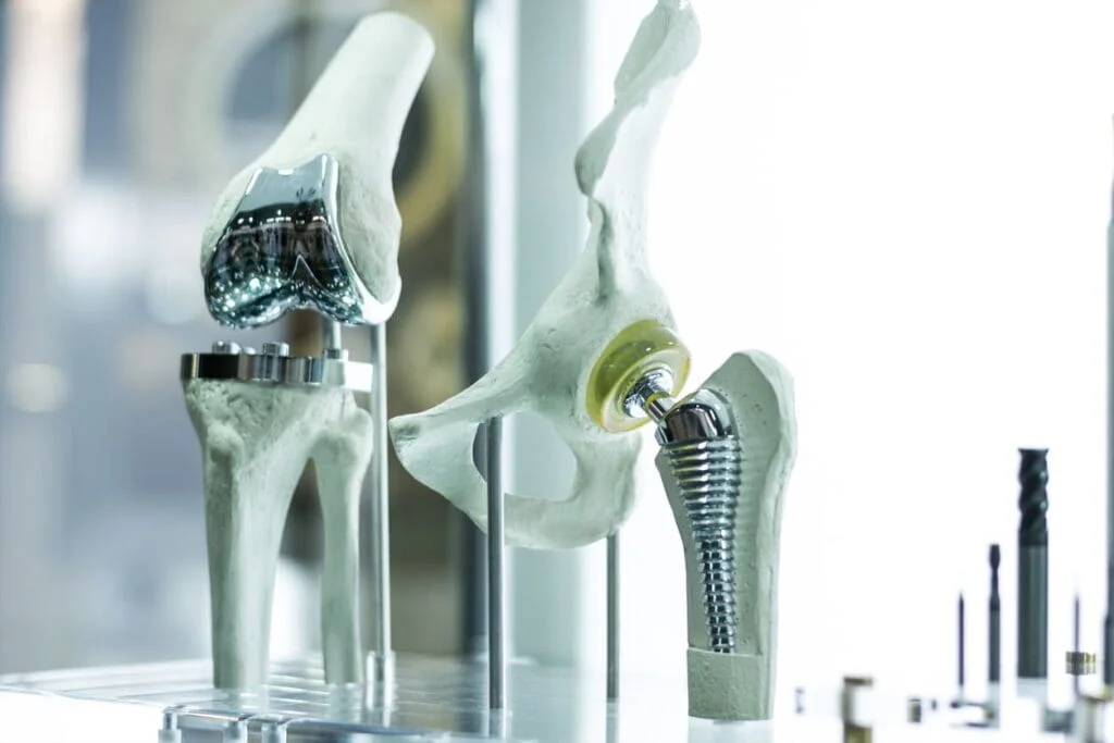hip-joints